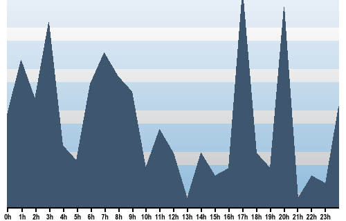 Claude Closky, Site View, December 11, 2025
