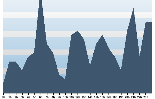 Claude Closky, Site View, December 18, 2024