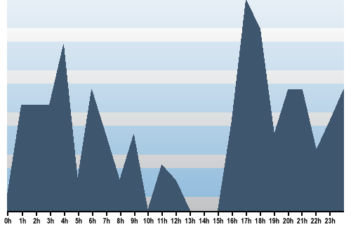 Claude Closky, Site View, December 29, 2024