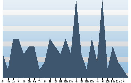 Claude Closky, Site View, January 18, 2025