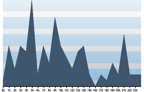 Claude Closky, Site View, January 22, 2025