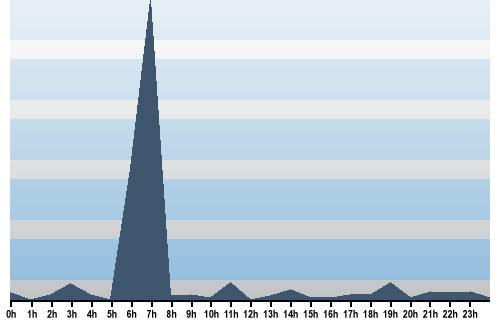Claude Closky, Site View, August 19, 2025