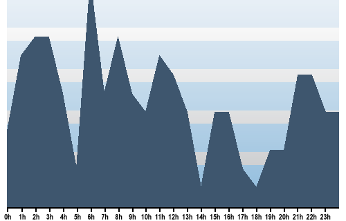 Claude Closky, Site View, December 18, 2025
