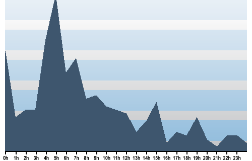 Claude Closky, Site View, December 26, 2025