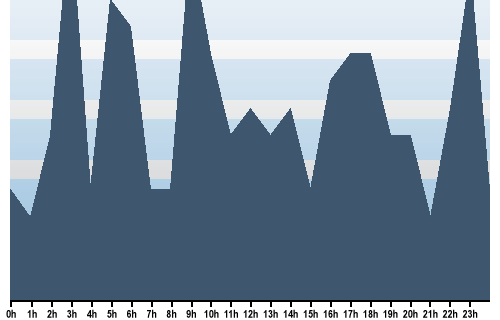 Claude Closky, Site View, December 29, 2025