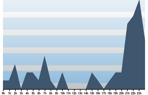 Claude Closky, Site View, February 11, 2025