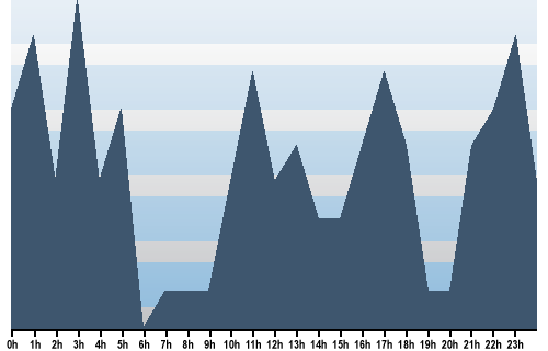 Claude Closky, Site View, February 12, 2025